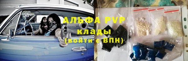 крисы Баксан