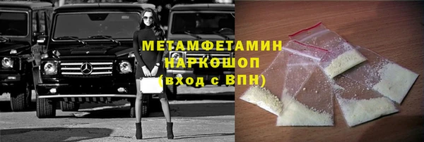 хмурый Аркадак