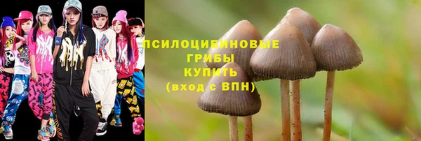 круглые Арсеньев