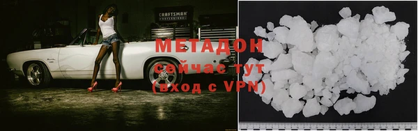 хмурый Аркадак