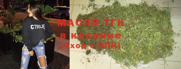 хмурый Аркадак