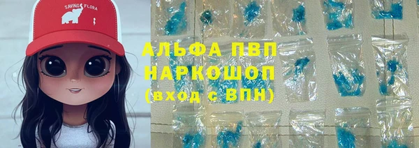 хмурый Аркадак
