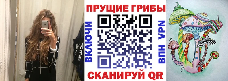 где купить наркоту  Курган  Псилоцибиновые грибы Psilocybine cubensis 