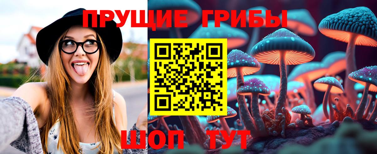 Псилоцибиновые грибы Cubensis  Псилоцибиновые грибы мицелий  продажа наркотиков  Вход с VPN  Курган 